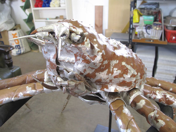 自在置物標本箱 タカアシガニ