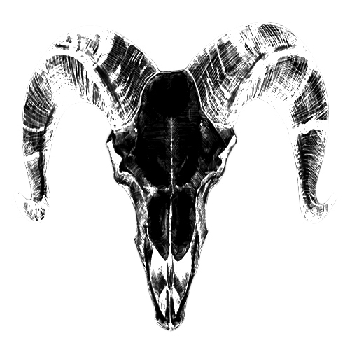 メリー 20th Anniversary 【実演配信】 History of メリー 実演娯楽