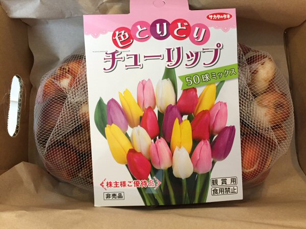 サカタのタネ株主優待