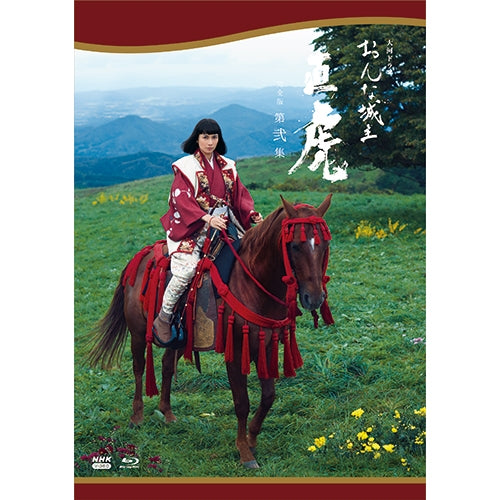 大河ドラマ おんな城主 直虎 完全版 第弐集 ブルーレイBOX 全5枚 -NHK