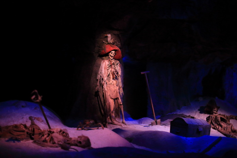 すごく暗い「カリブの海賊」の撮影 | ディズニーと写真とカメラ日記