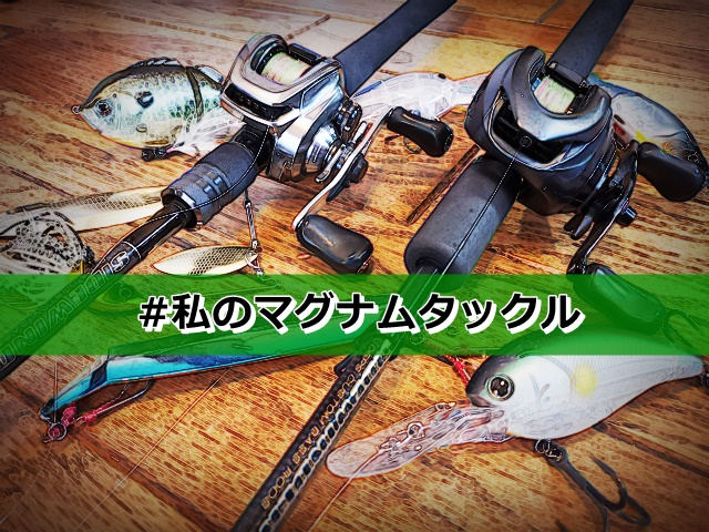 私のタックルセレクト-1-] マグナムクランクのタックルセッティング