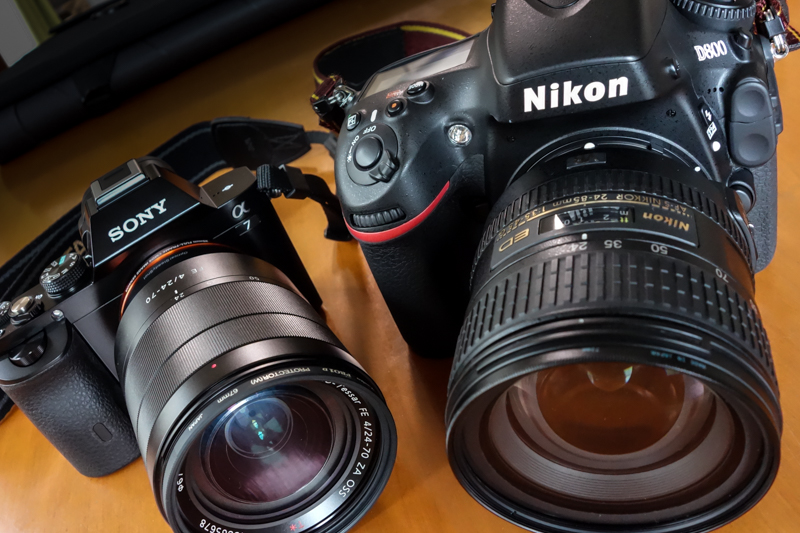 Nikon D800 ◇ 購入レビュー ◇ | デジタル試しうち