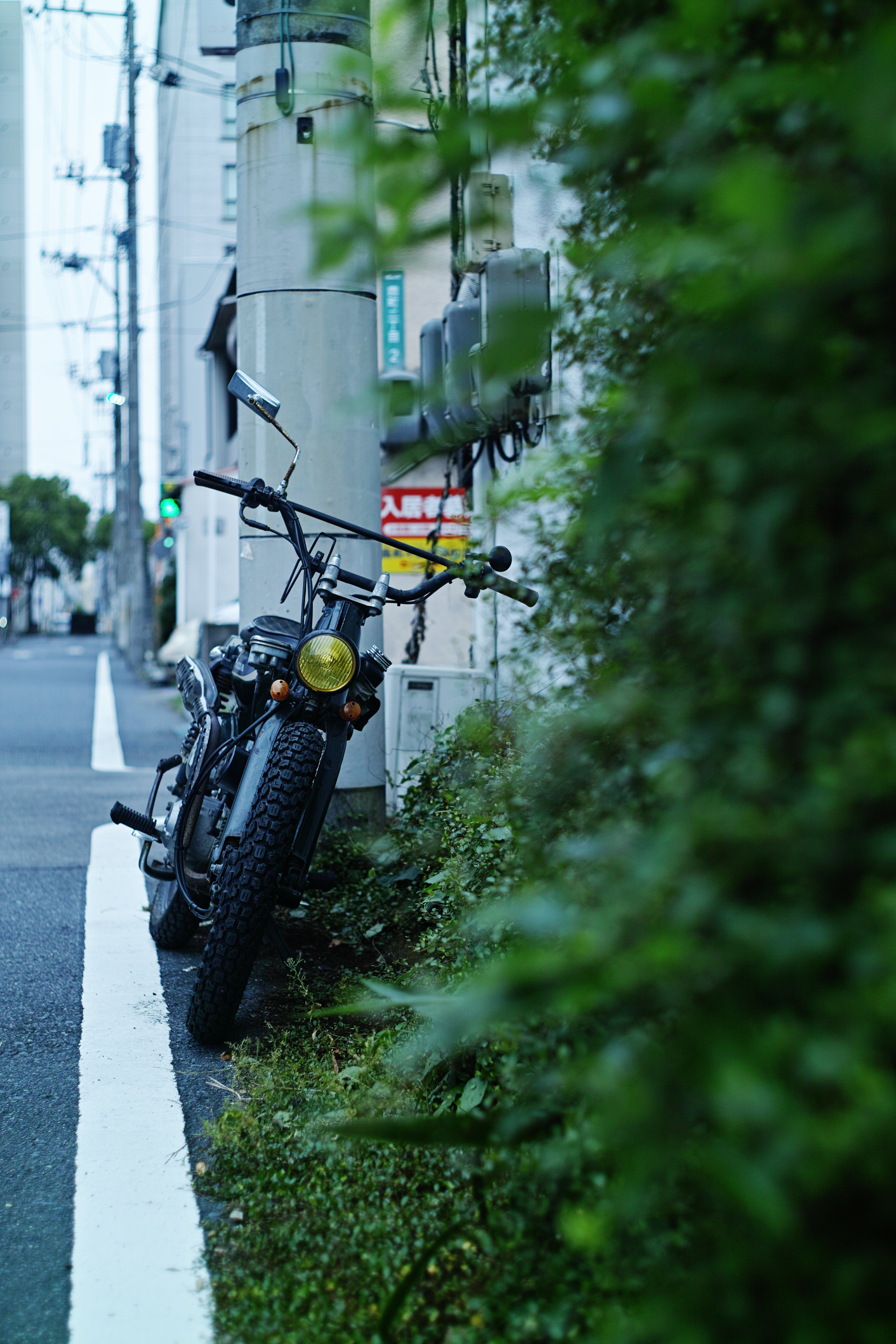 YASHICA AUTO YASHINON 5cm F2 – 超画伯の写真漂流記