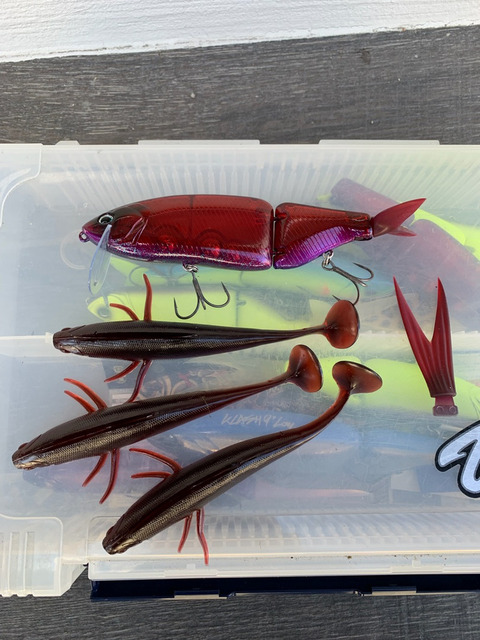 DRTタイニークラッシュ/クラッシュ9のオリカラ 呉ガイドサービス