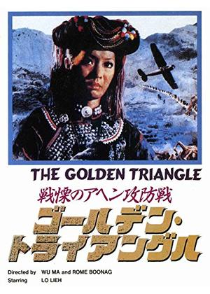 推薦！香港映画】邪 ゴースト・オーメン (邪HEX)90分 - 元レンタル店