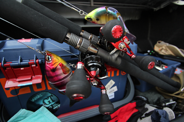 ピラルク実釣！アブガルシアのレボ ビッグシューターのパワーが凄い