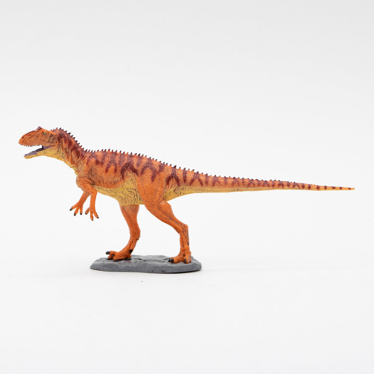 Allosaurus Soft Model – Favorite official website