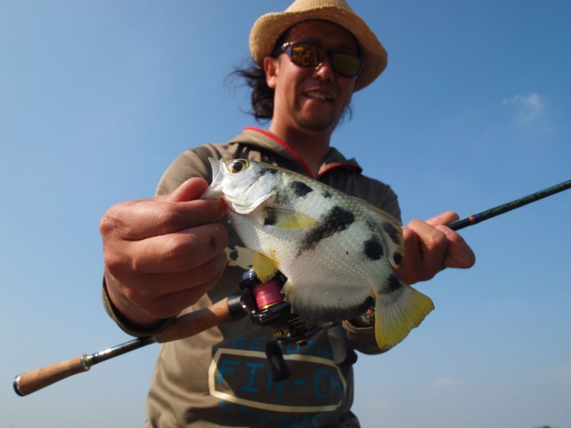 CANARIA68ML(カナリア68ML) - Fin‐ch