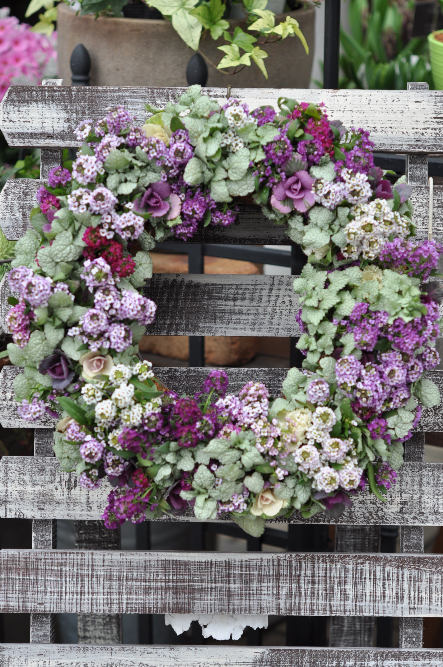 Arrangement of flowerpot 寄せ植え - さいたま市岩槻区 花と葉っぱの