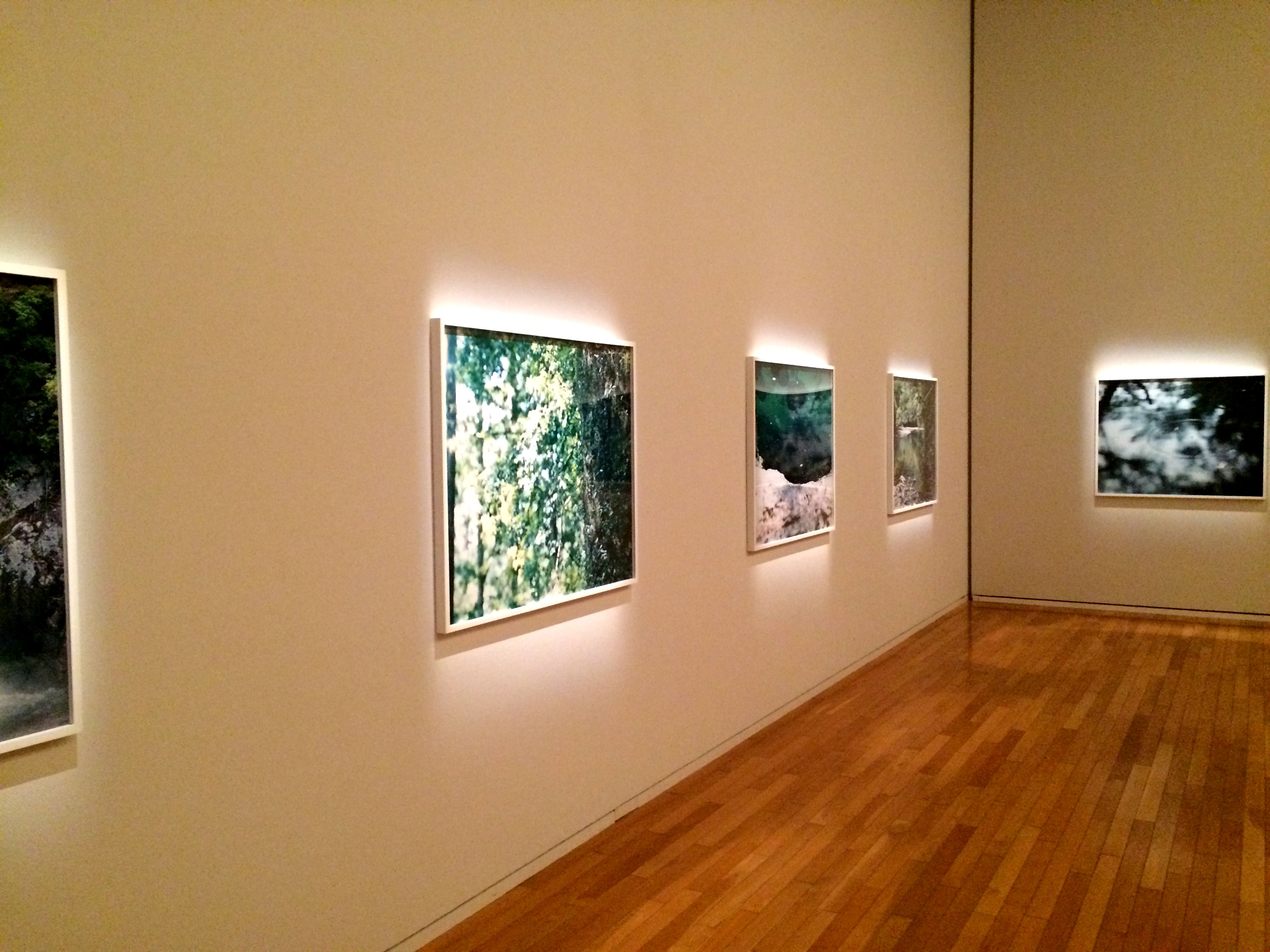 鈴木理策写真展 意識の流れ オペラシティ Risaku Suzuki | シャツと休む