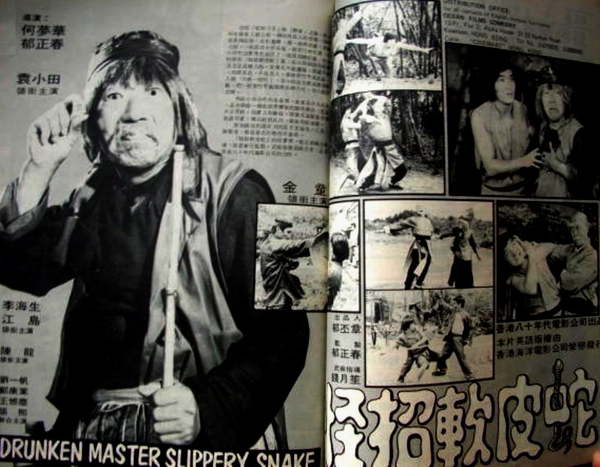 ビデオ発売／カンフー】マッドカンフー地獄拳