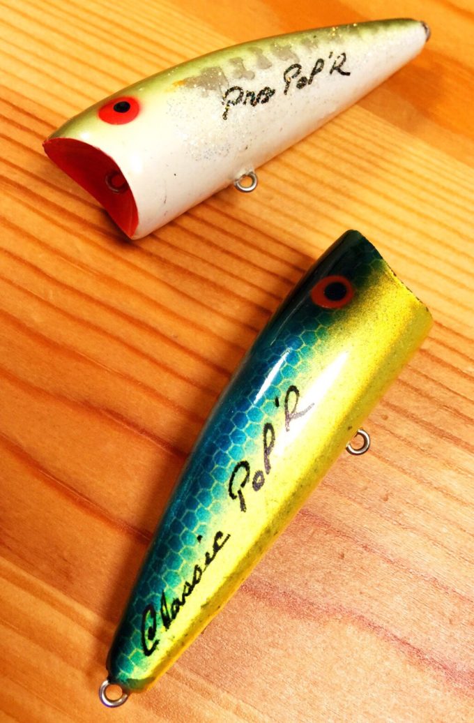 REBEL／POP R（P60）•TEENY POP R（P50） – くまのつりぐ