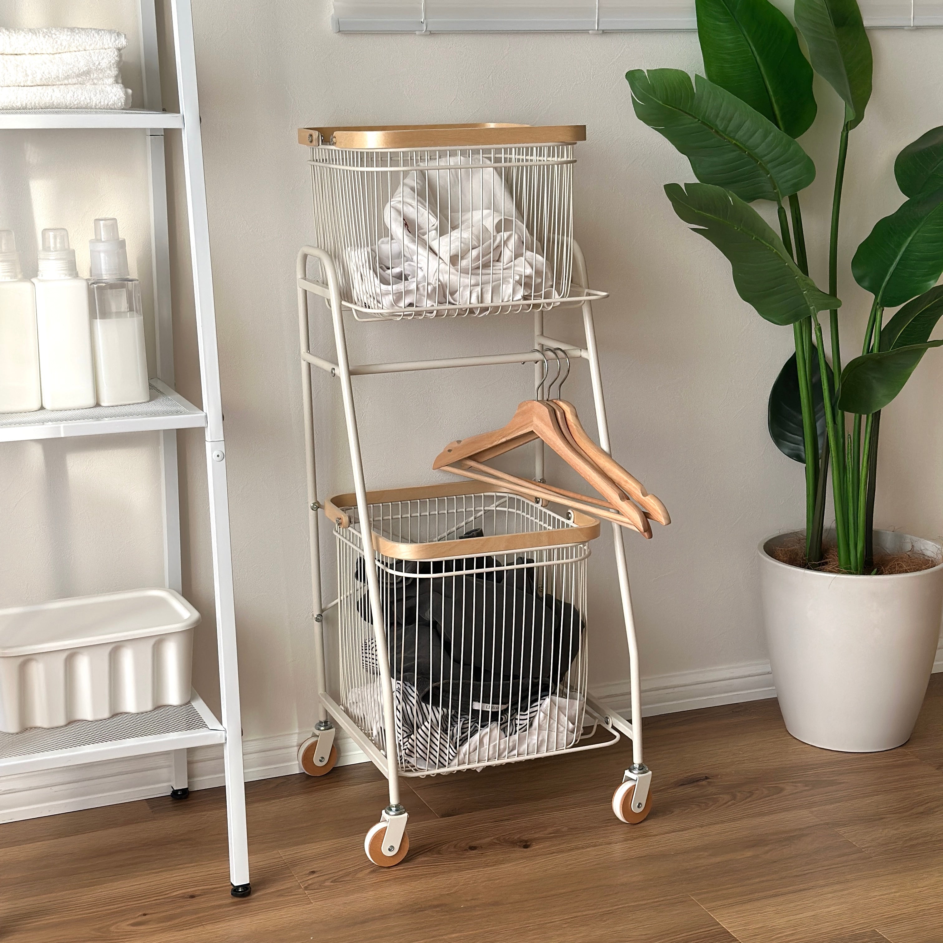 IMG_8283.jpg?v=1751962205