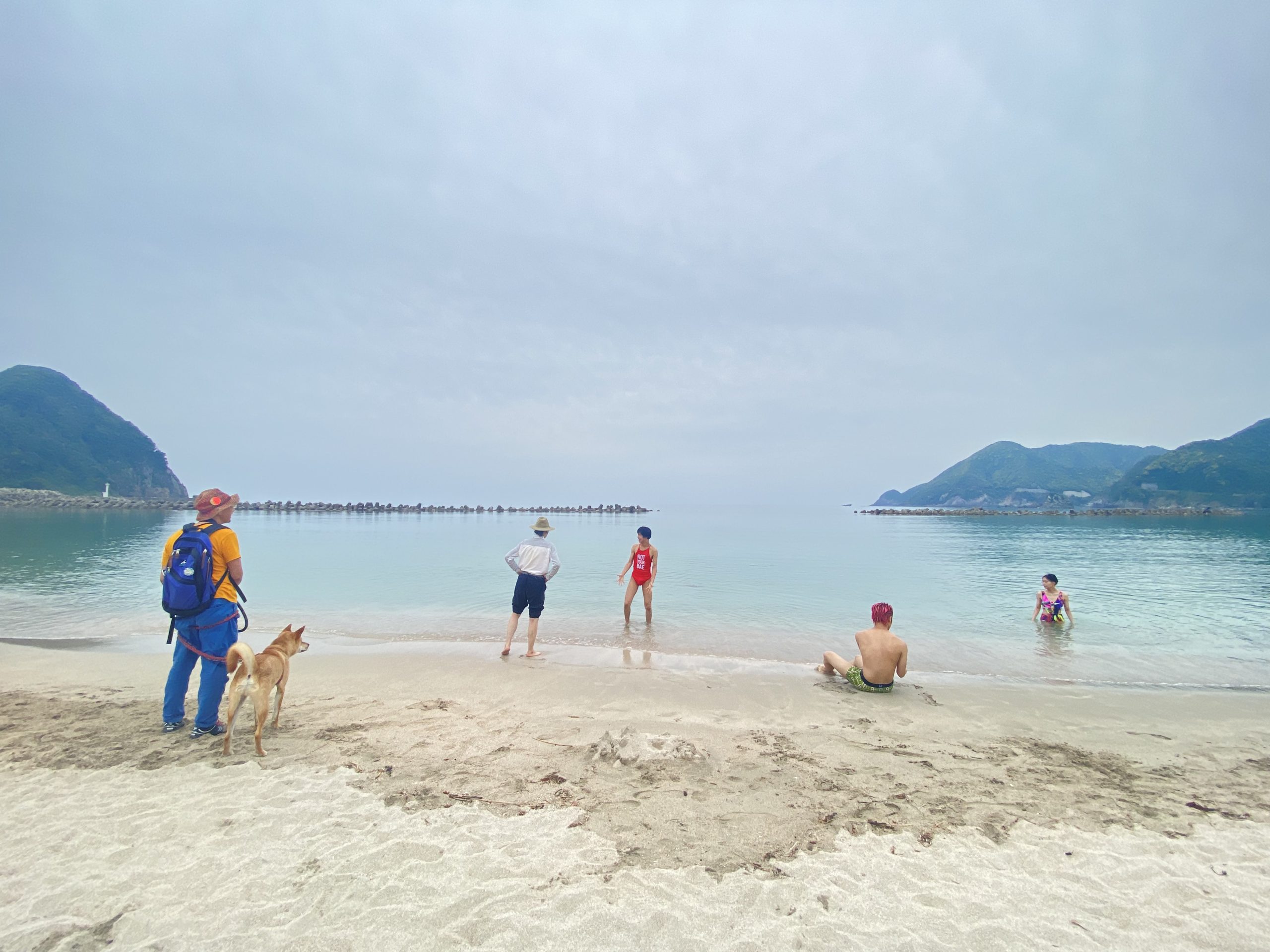 バラ色ダンス 1965／2023 ドラマトゥルクの視点から | 記事