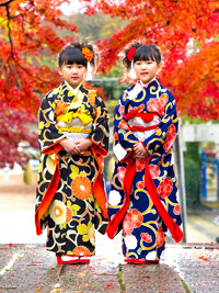 お客様の声- キモノガール｜七五三アンティーク、作家キモノ｜レンタル