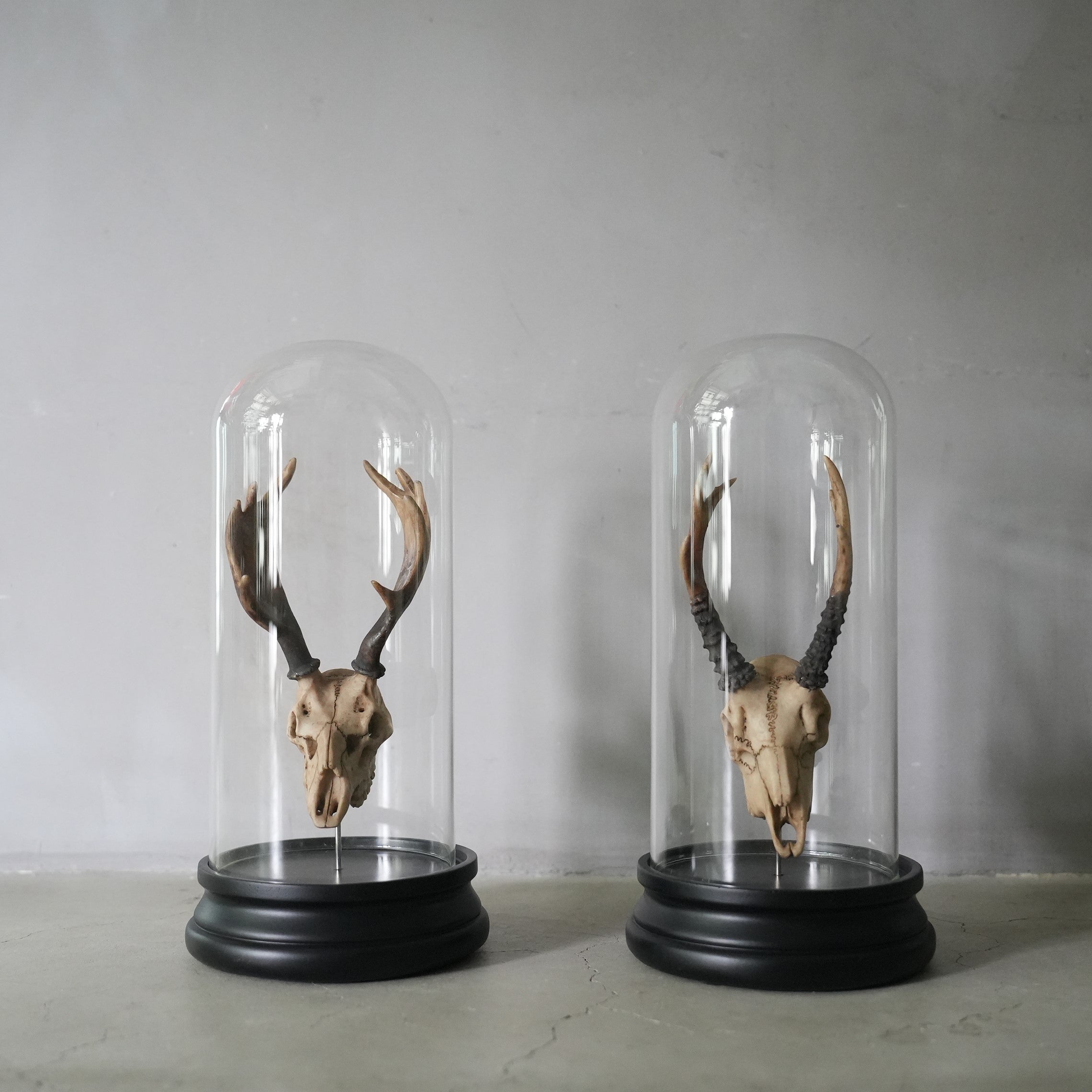 DSC04799.jpg?v=1763950291&