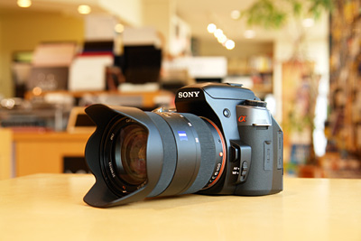 α550展示始めました。（フォトレビュー） - ONE'S- ソニープロショップ