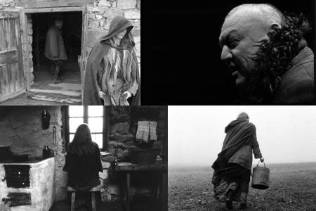 ニーチェの馬 銀熊賞・国際批評家連盟賞 鬼才タル・ベーラの最新作にして最後の作品 ニーチェの馬』『サタンタンゴ』タル・ベーラ監督の傑作『ヴェルクマイ