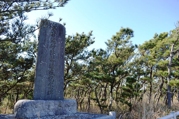 館山の気になる樹 3．－テーマ別探訪 | たてやまフィールド