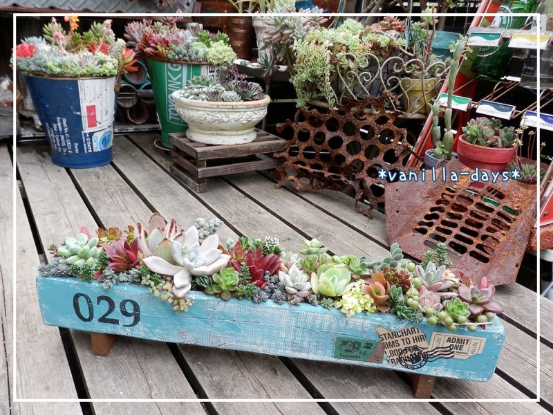 DIY・木製プランターの多肉寄せ☆ | ＊vanilla-days＊