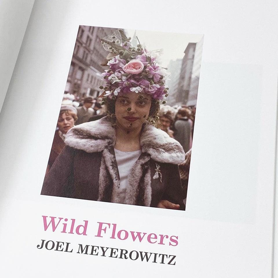 Wild Flowers Joel Meyerowitz – SUPER LABO