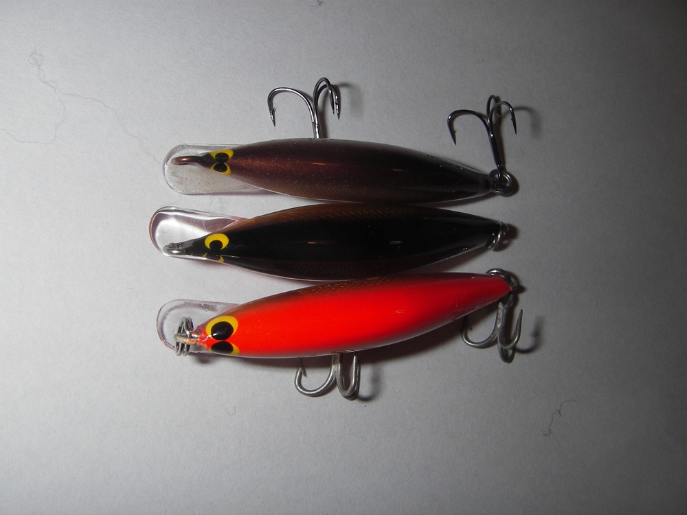 永遠のタイトローリング BALSA50 ブラウニー: saurus jr. talk