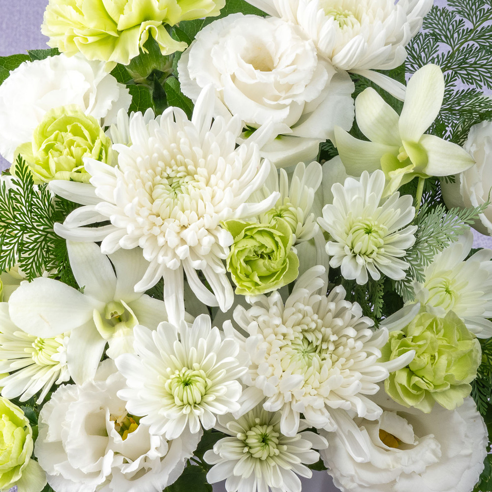 お供え用】 アレンジメント「祈菊（きぎく）」 | 花・花束を贈る