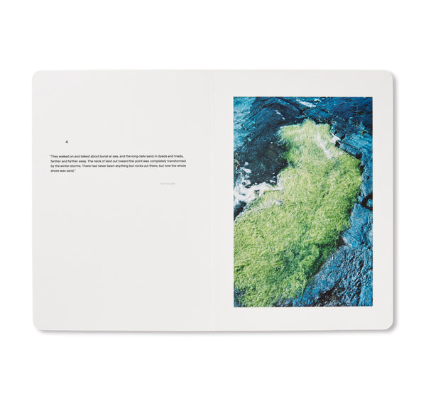 A SONG FOR WINDOWS by Takashi Homma – twelvebooks