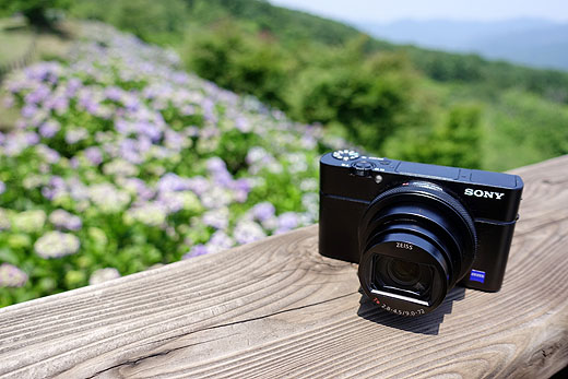 レビュー】『DSC-RX100M6』で撮る「美の山のあじさいハイキング