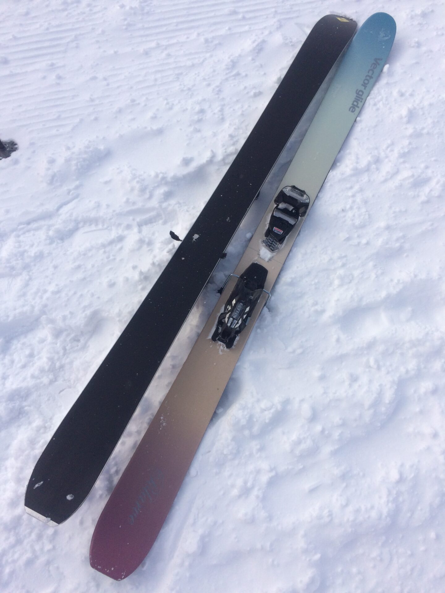 試乗レビュー】Vector Glide/POLARVE ヴェクターグライド/ポラーヴ