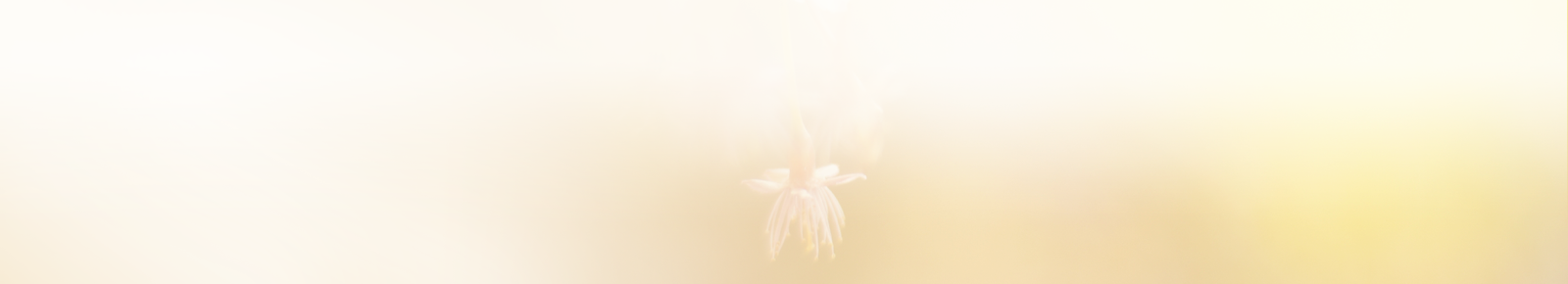 Photon nanoSkin｜株式会社TIME LAB