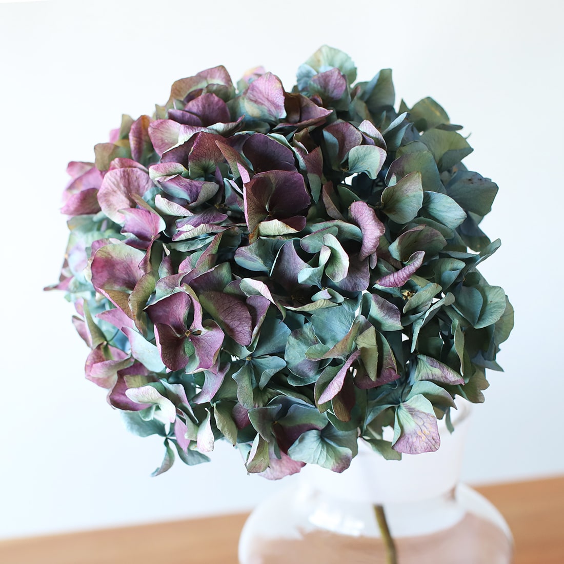 ドライフラワー］マジックアワーに染まる紫陽花 商品ページ - 土と風の