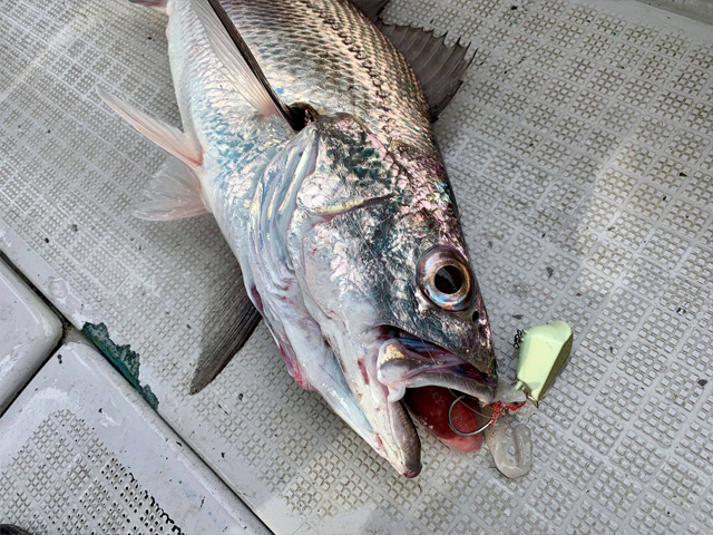 リアクション一つテンヤ最高峰ロッド「VRK」シリーズ：ラインナップ