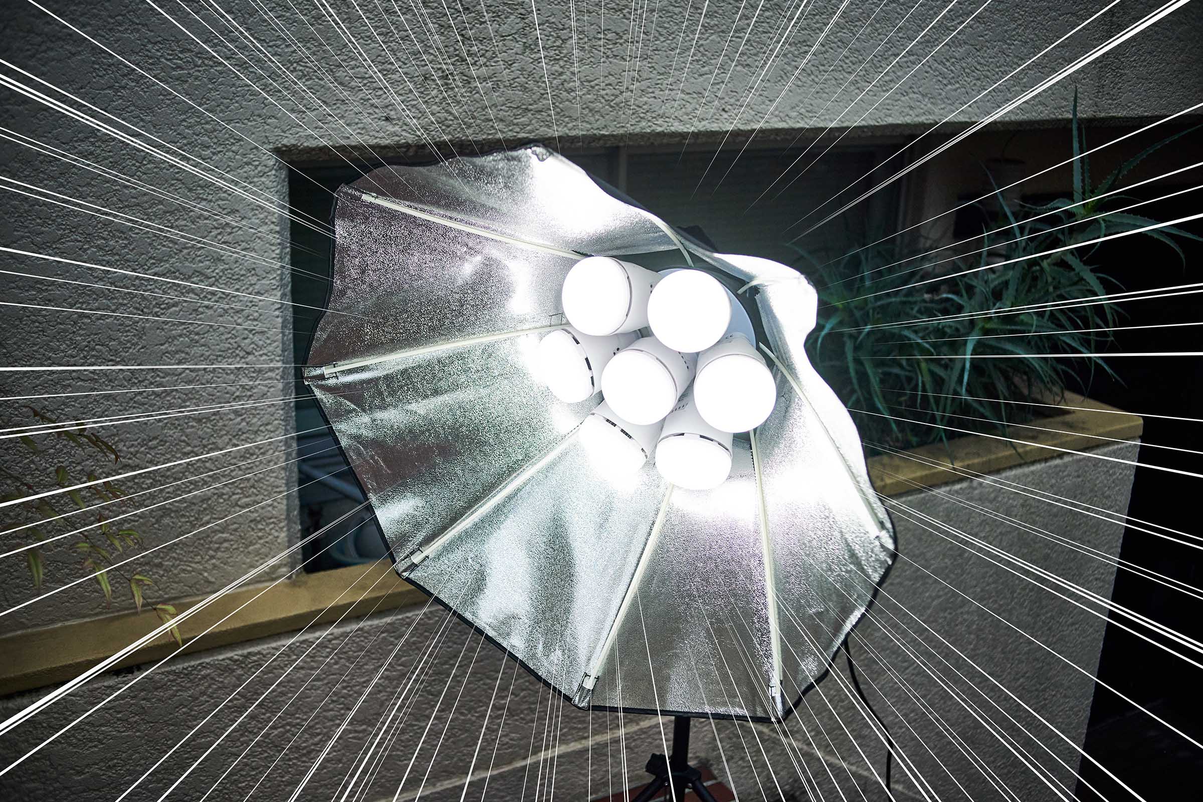 7灯ソケットモンスター！2.5kwの超爆光で晴天日陰に立ち向かう