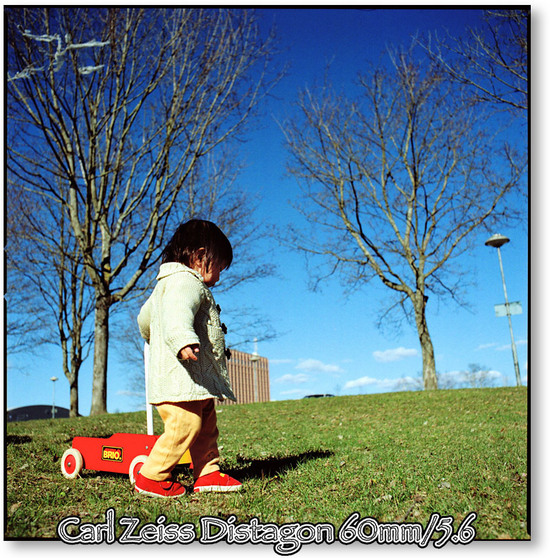 ディスタゴン60mm/5.6の写り。 / ストックホルムの空を見上げて