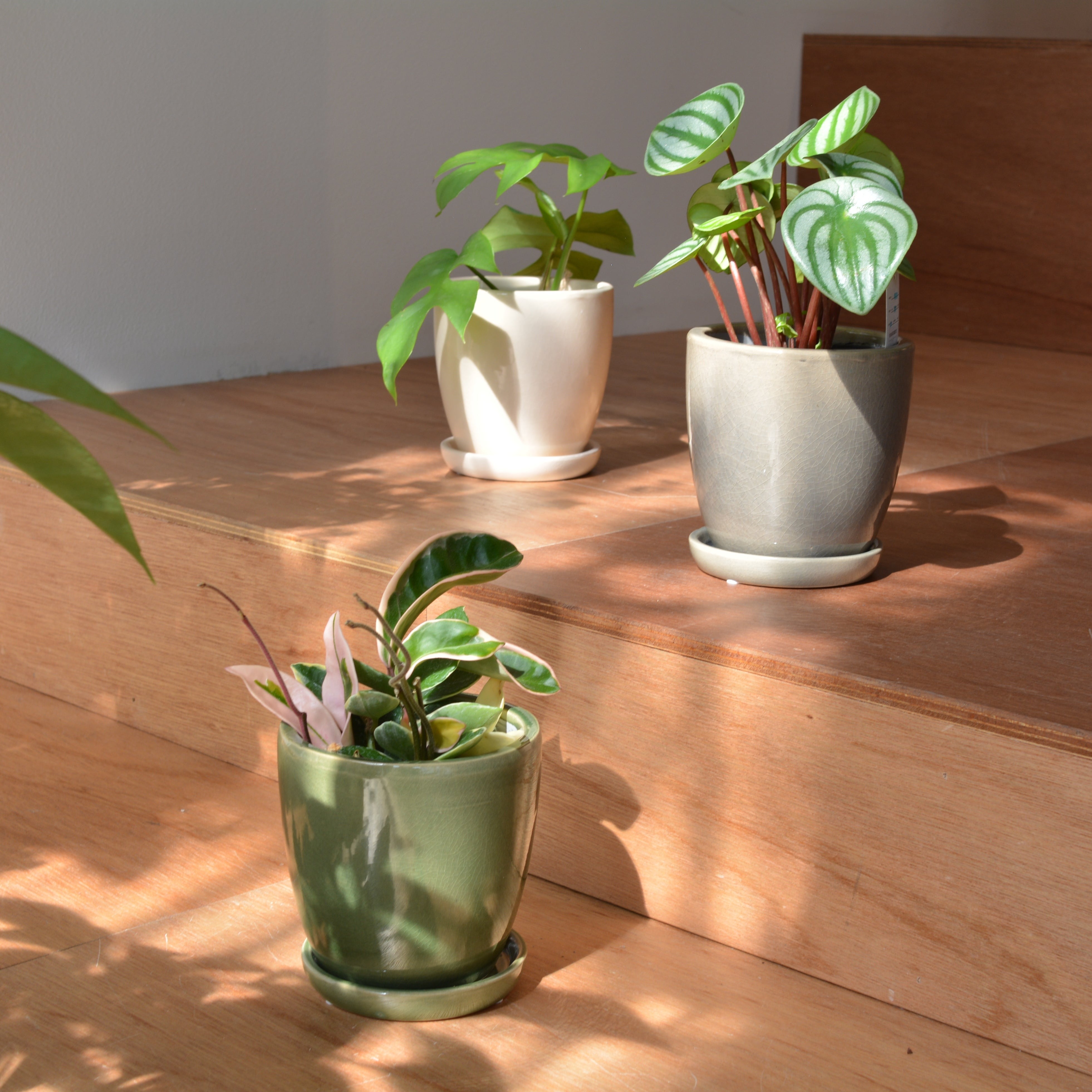 ミオプランター I 植木鉢 I プラントソサエティトーキョー – THE PLANT