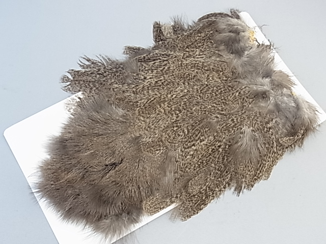 Anglers Paradise【フライフィッシングショップ アングラーズ