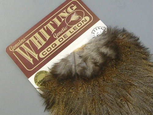 Anglers Paradise【フライフィッシングショップ アングラーズ