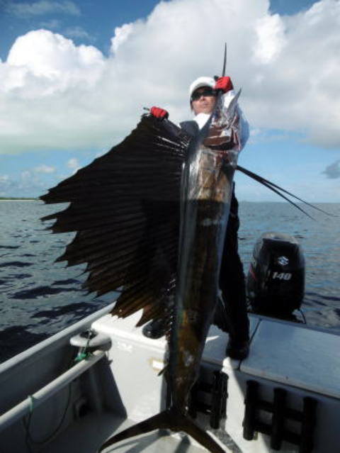 カーペンター ダムセル