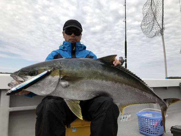 カーペンター ハヤブサ