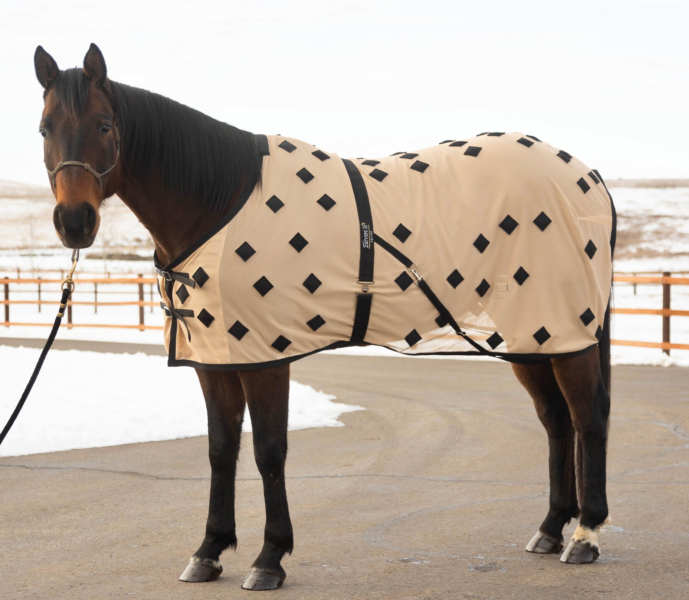 MagnetXmotion magnetic horse mesh – Eleven11 Equine