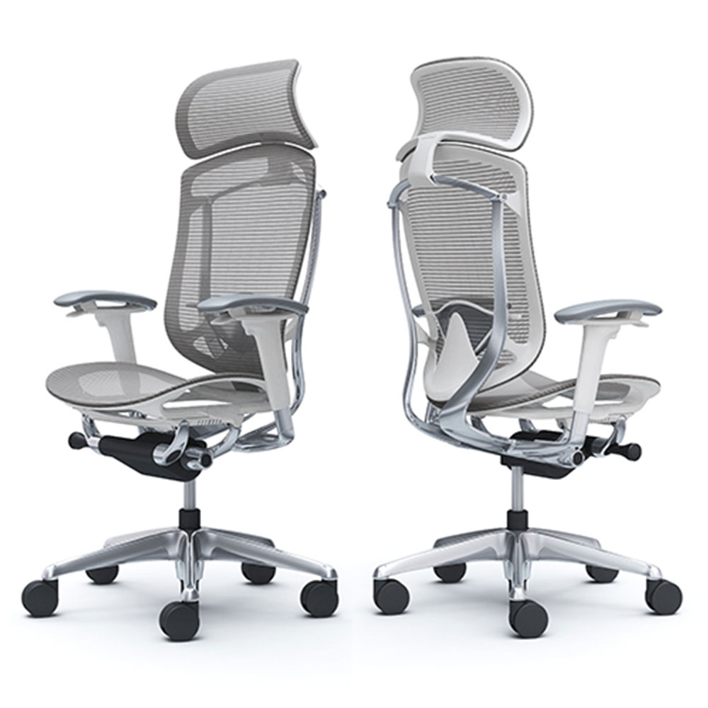 コンテッサセコンダ 」座/メッシュ フレーム/ポリッシュ ボディー