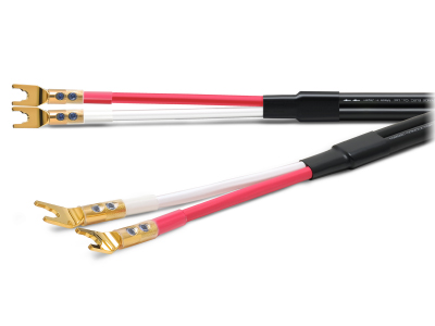 oyaide.com :: TUNAMI NIGO V2