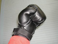 日本拳法グローブ