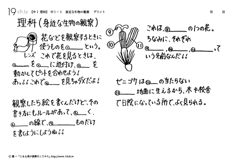 中1理科｜葉一の授業メニューと無料プリント【19ch】