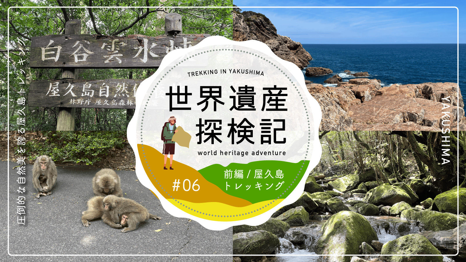 東京23区より狭い屋久島で日本中の植生を体感。世界遺産登録の理由