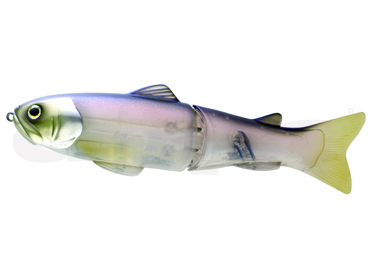 11-66.jpg?v=1757349454&width=360