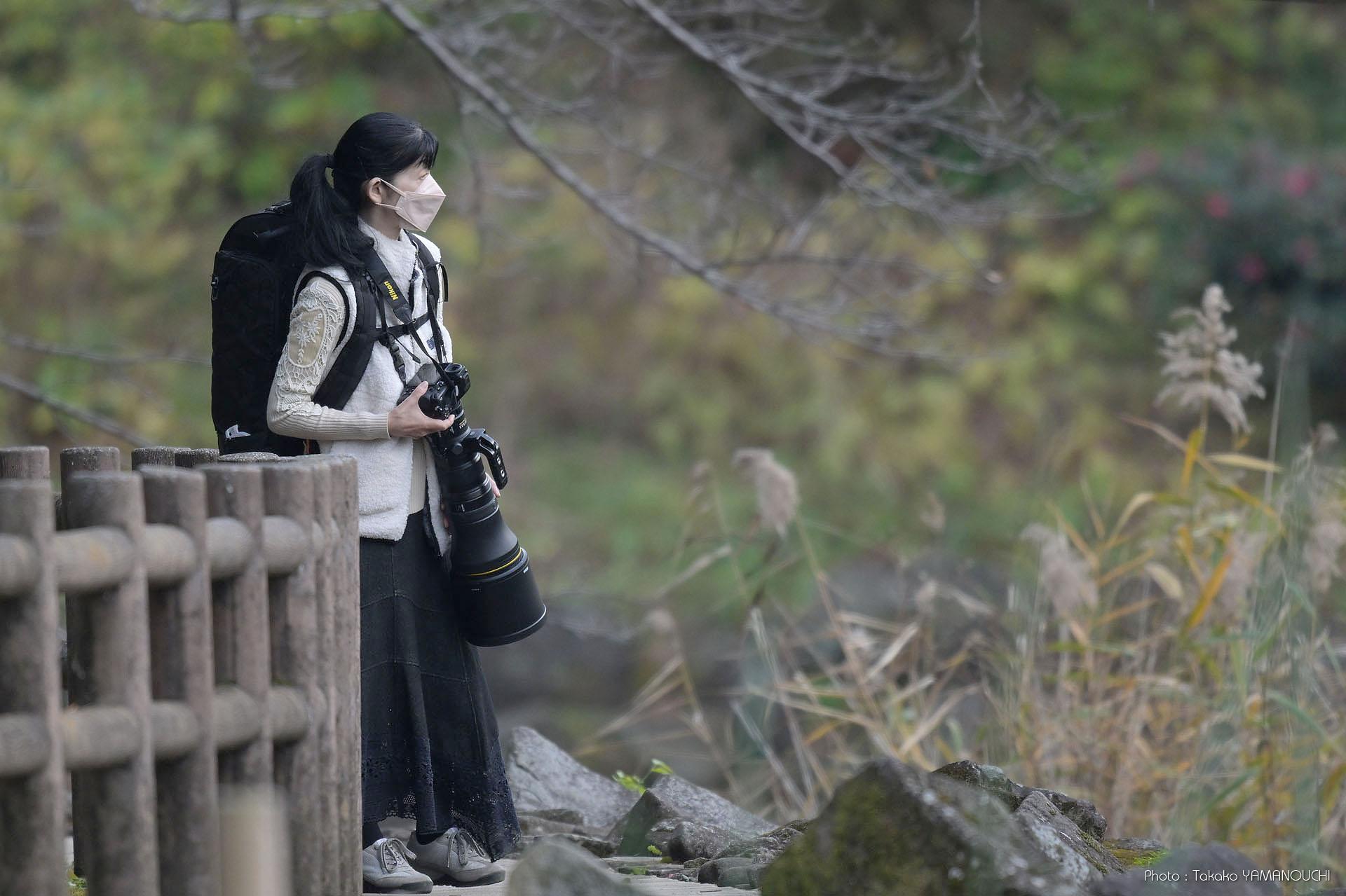 Nikon Z8＋NIKKOR Z 800mm f/6.3 VR S：半年使ってみて – たかちゃんの