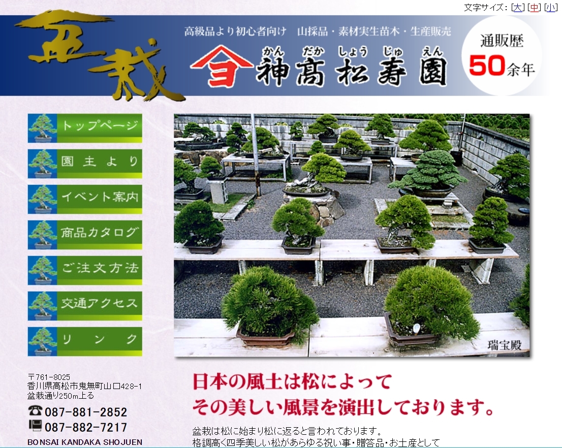 販売案内 | 高松盆栽